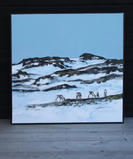 Renar i fjällen